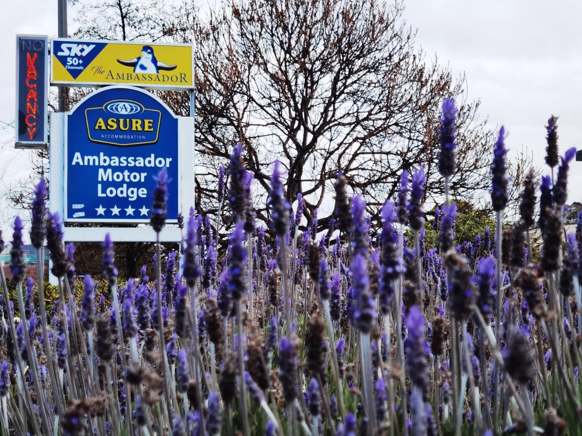 Asure Ambassador Motor Lodge Oamaru Exterior foto